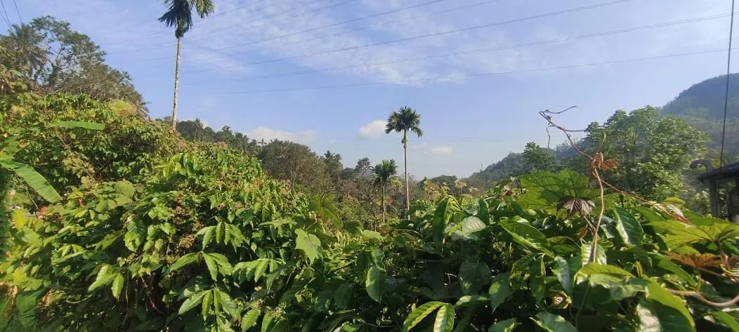 Riya Home Stay Munnar Anaviratty 0*,  Ινδία